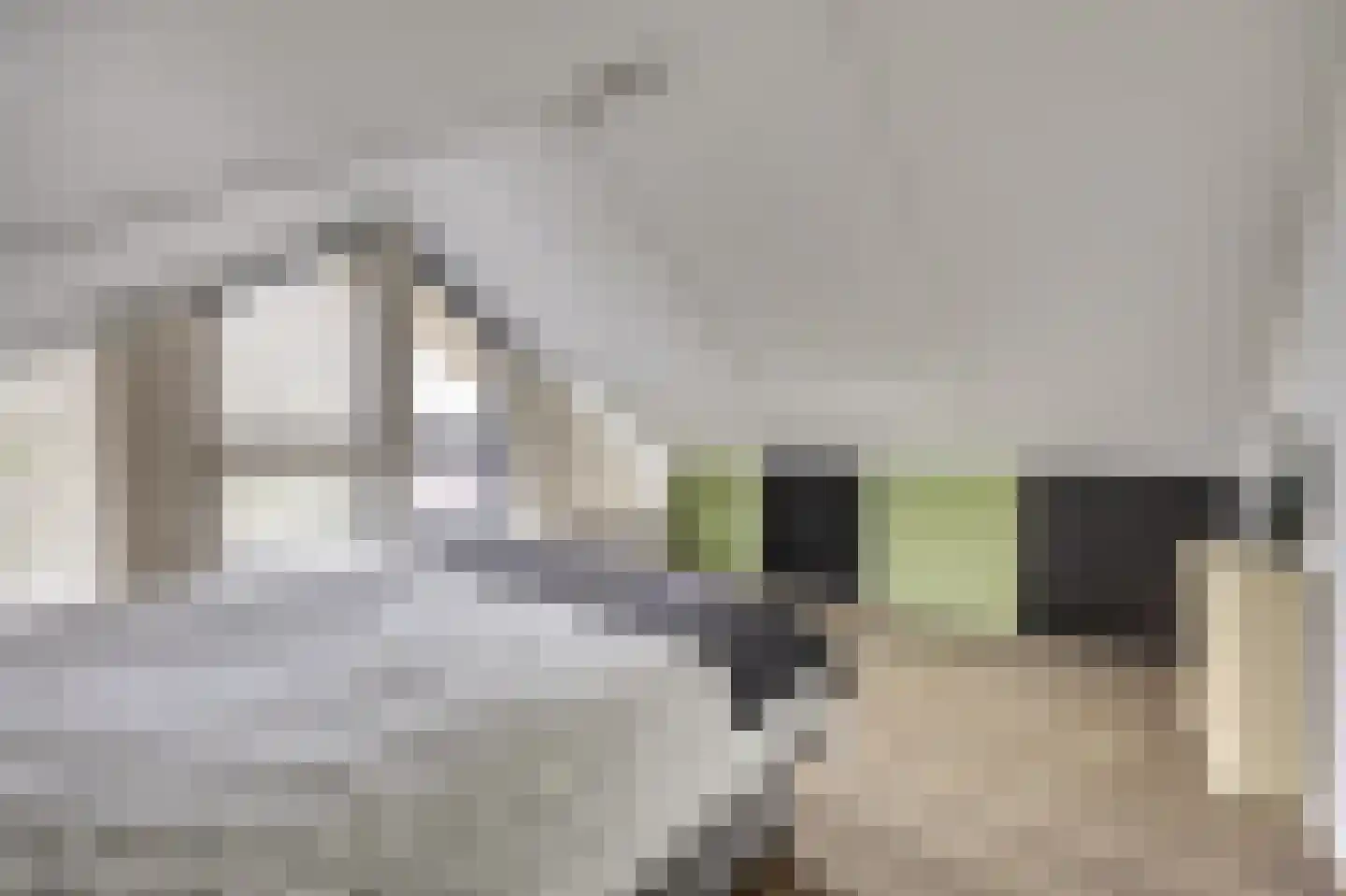 Herfst 120 Dronten thumbnail 38