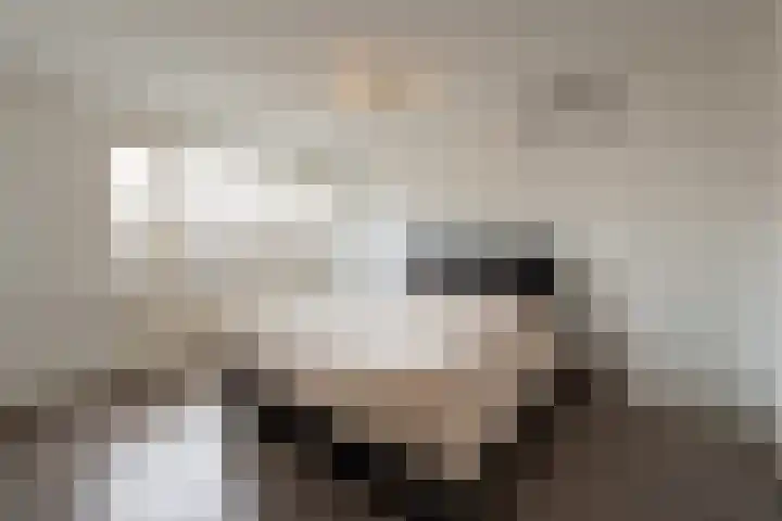 Herfst 120 Dronten thumbnail 39