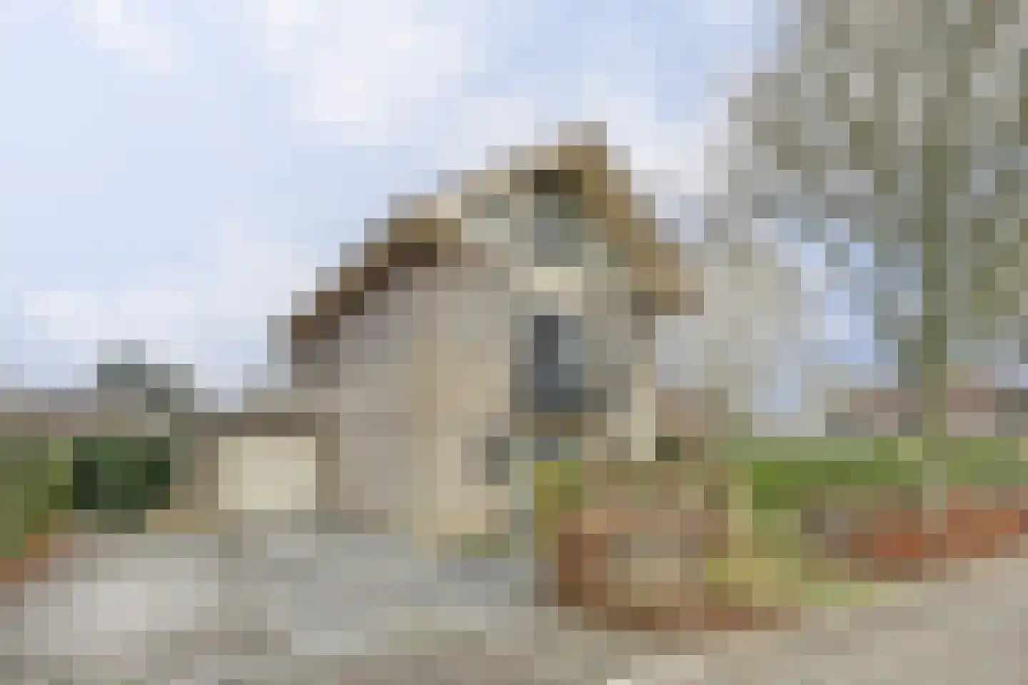 Herfst 120 Dronten thumbnail 43