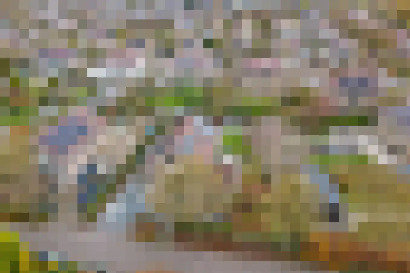 Herfst 120 Dronten thumbnail 45