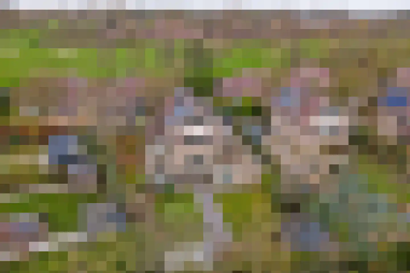 Herfst 120 Dronten thumbnail 46