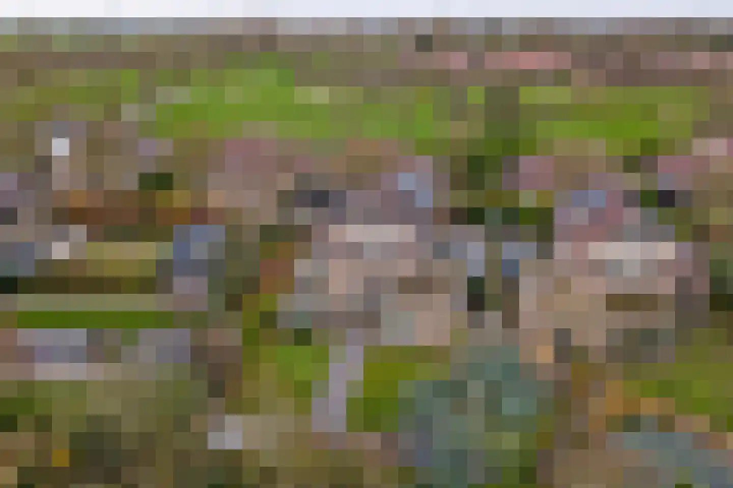 Herfst 120 Dronten thumbnail 47