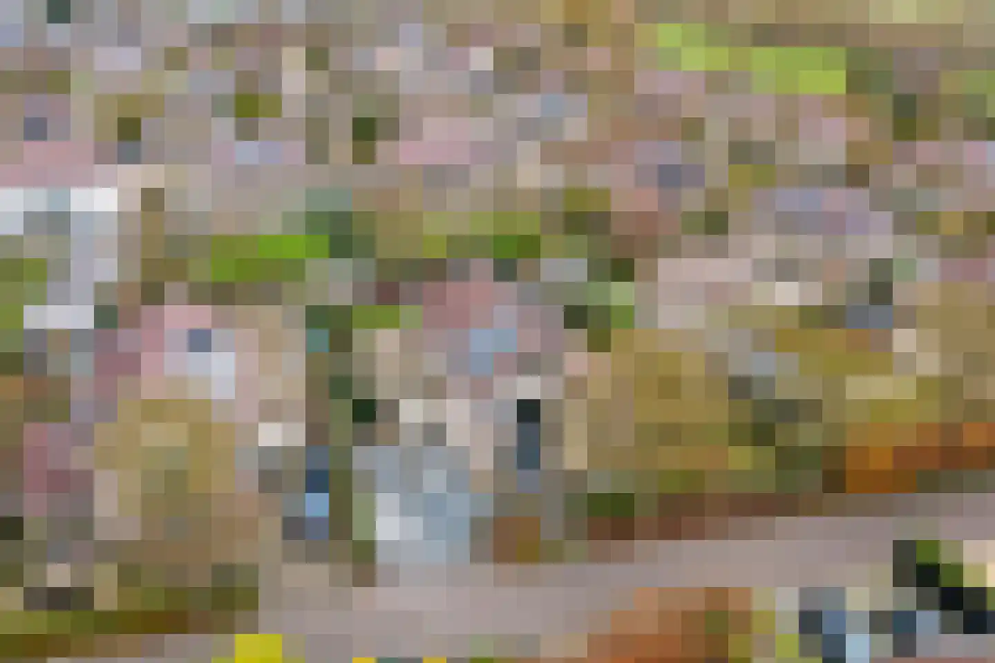 Herfst 120 Dronten thumbnail 5