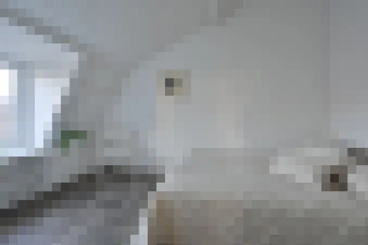 Herfst 120 Dronten thumbnail 52