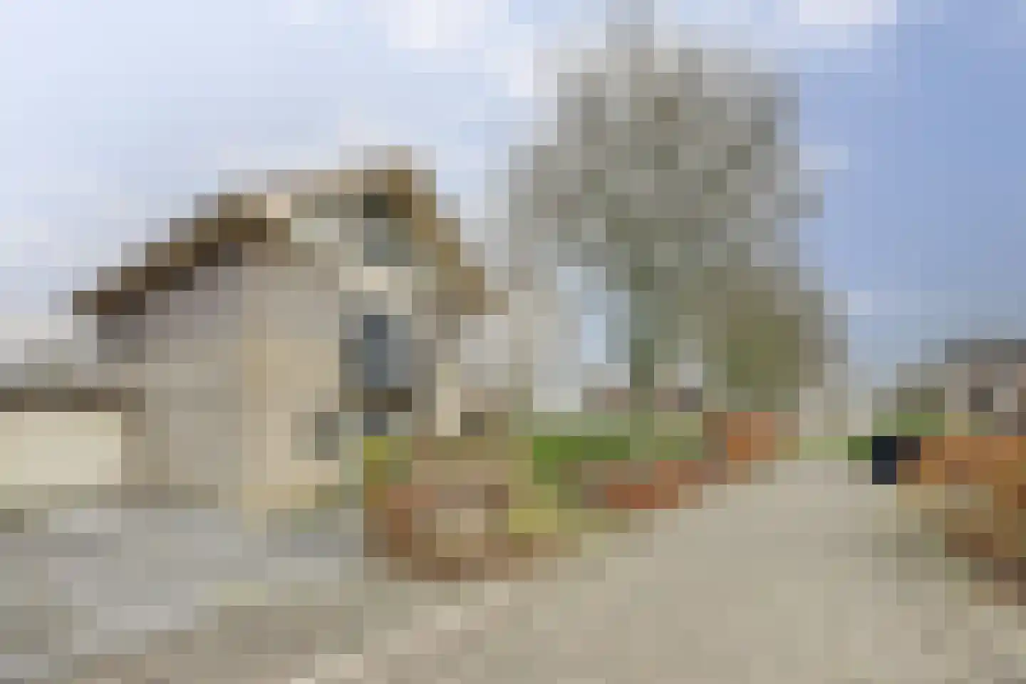 Herfst 120 Dronten thumbnail 55