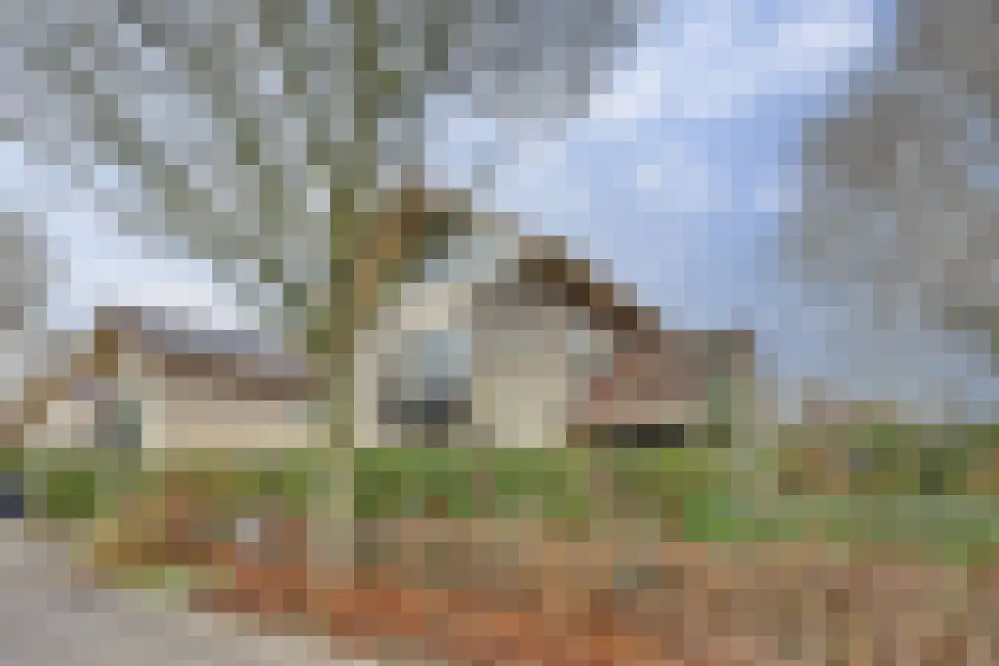 Herfst 120 Dronten thumbnail 56