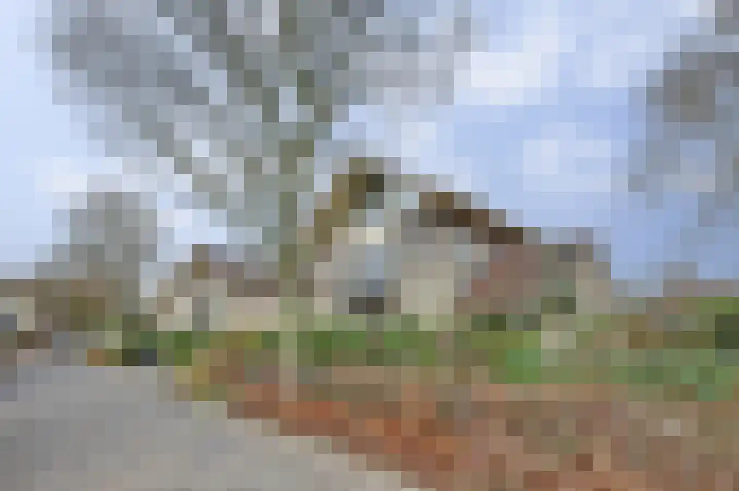 Herfst 120 Dronten thumbnail 57