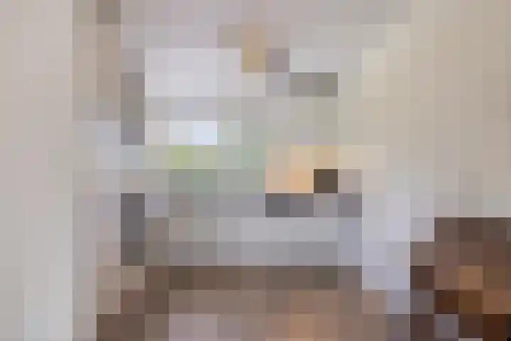 Herfst 24 Dronten thumbnail 16