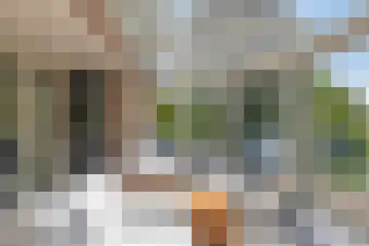 Herfst 24 Dronten foto 3