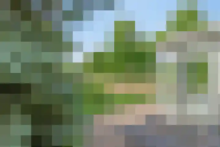 Herfst 24 Dronten thumbnail 32