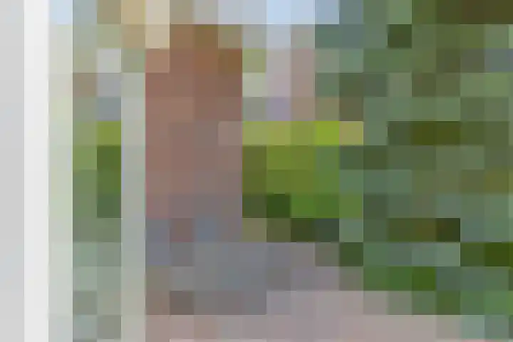 Herfst 24 Dronten thumbnail 33