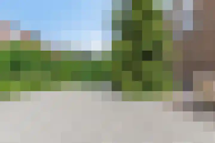 Herfst 24 Dronten thumbnail 35