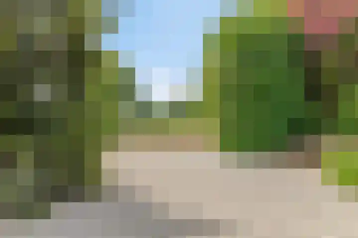 Herfst 24 Dronten thumbnail 37