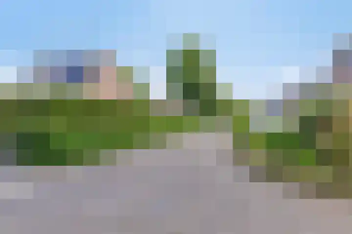 Herfst 24 Dronten thumbnail 39