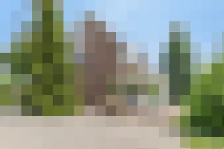 Herfst 24 Dronten thumbnail 4