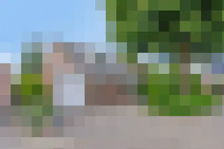 Herfst 24 Dronten thumbnail 43