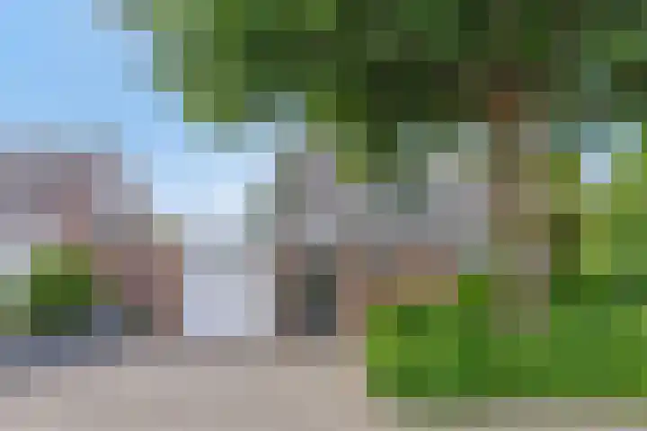 Herfst 24 Dronten thumbnail 5