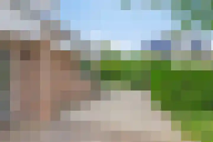 Herfst 24 Dronten thumbnail 6