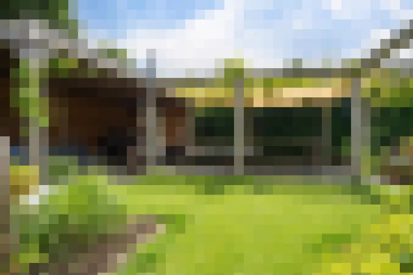 Herfst 45 Dronten thumbnail 49