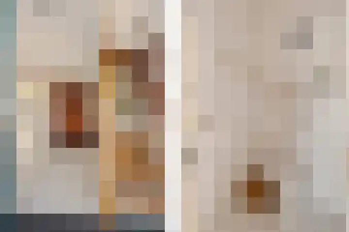 Herfst 52 Dronten thumbnail 11