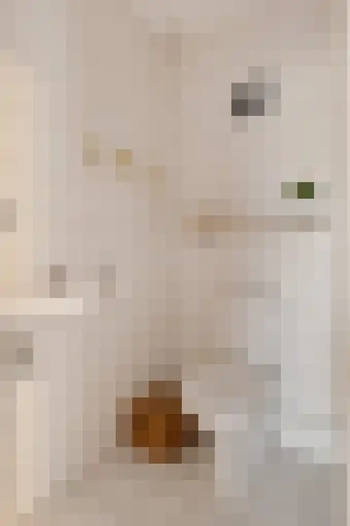 Herfst 52 Dronten thumbnail 12