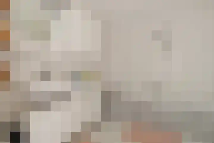 Herfst 52 Dronten thumbnail 18