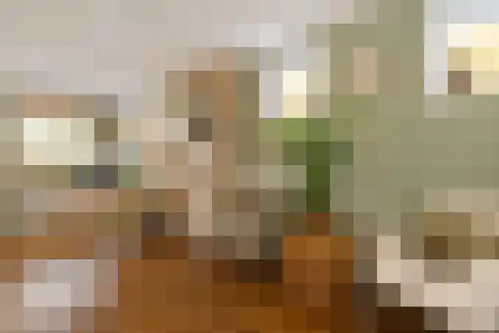 Herfst 52 Dronten foto 2