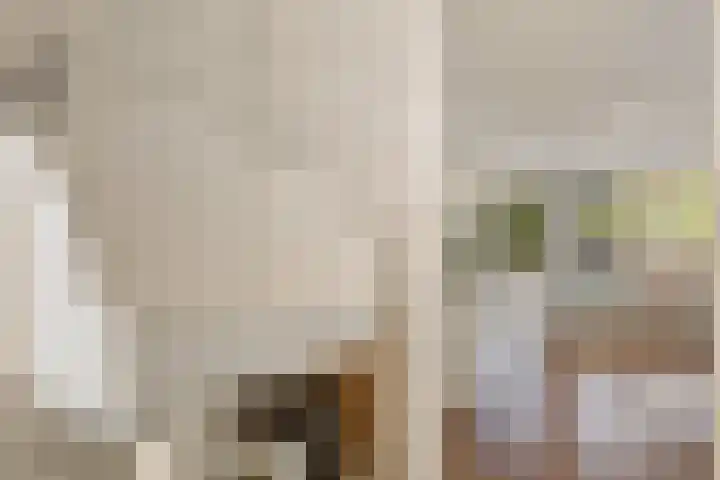 Herfst 52 Dronten thumbnail 23