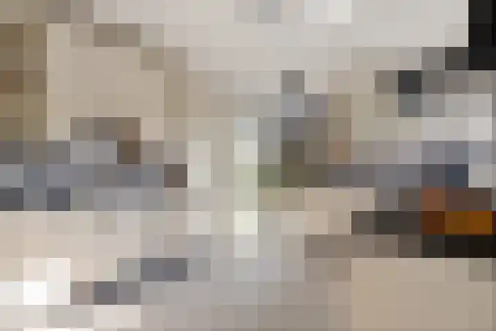 Herfst 52 Dronten thumbnail 24