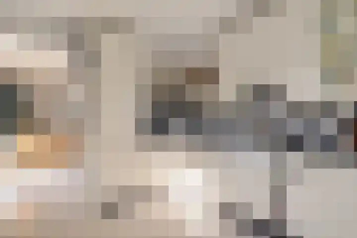 Herfst 52 Dronten thumbnail 26