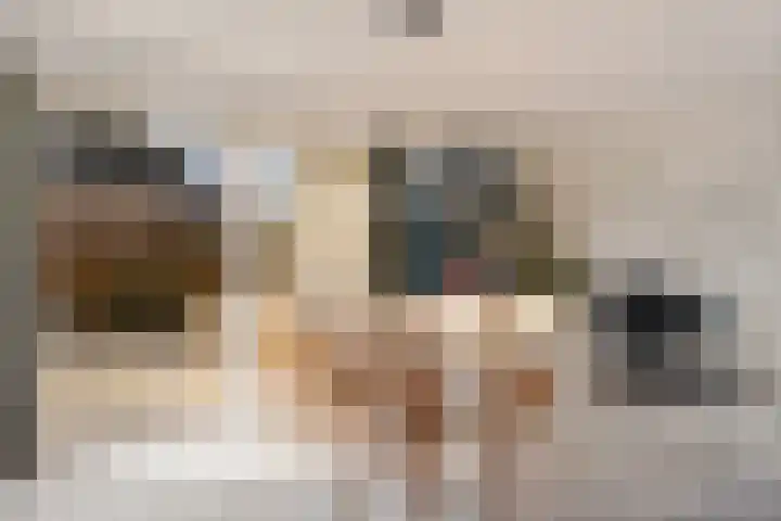 Herfst 52 Dronten thumbnail 30