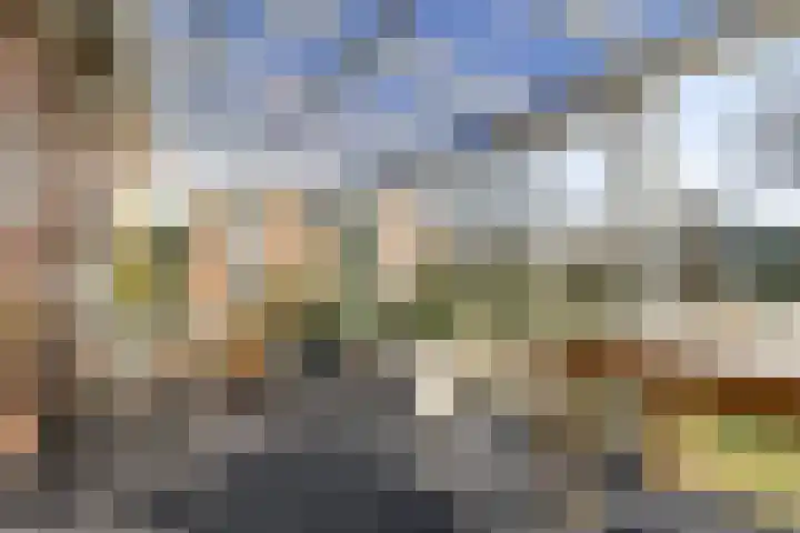 Herfst 52 Dronten thumbnail 4