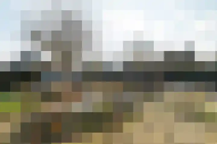 Herfst 52 Dronten thumbnail 45