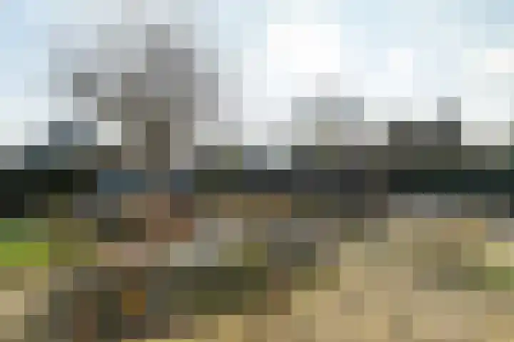 Herfst 52 Dronten thumbnail 46