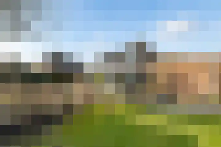 Herfst 52 Dronten thumbnail 49