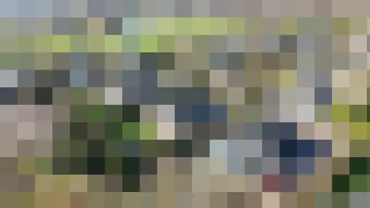 Herfst 52 Dronten thumbnail 5