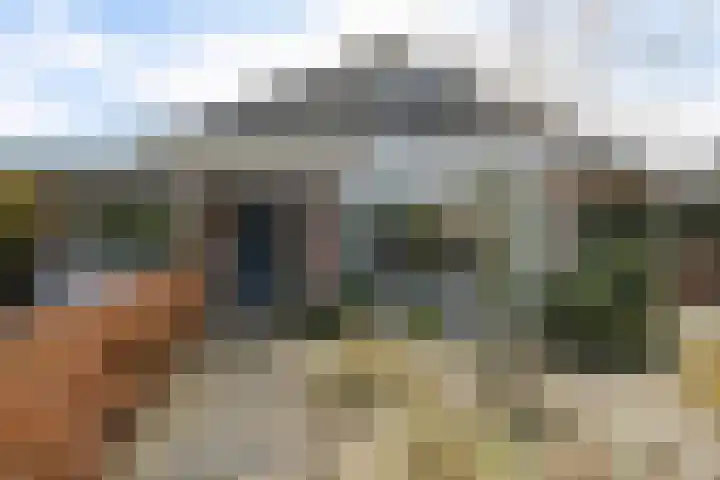 Herfst 52 Dronten thumbnail 7