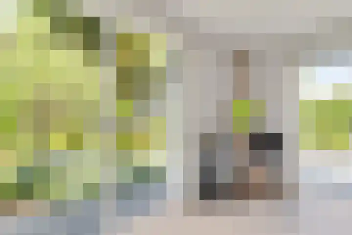 Herfst 61 Dronten thumbnail 20