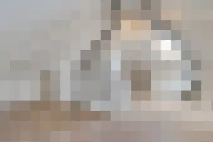 Herfst 61 Dronten thumbnail 27