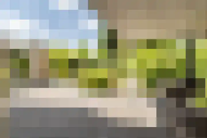 Herfst 61 Dronten thumbnail 33