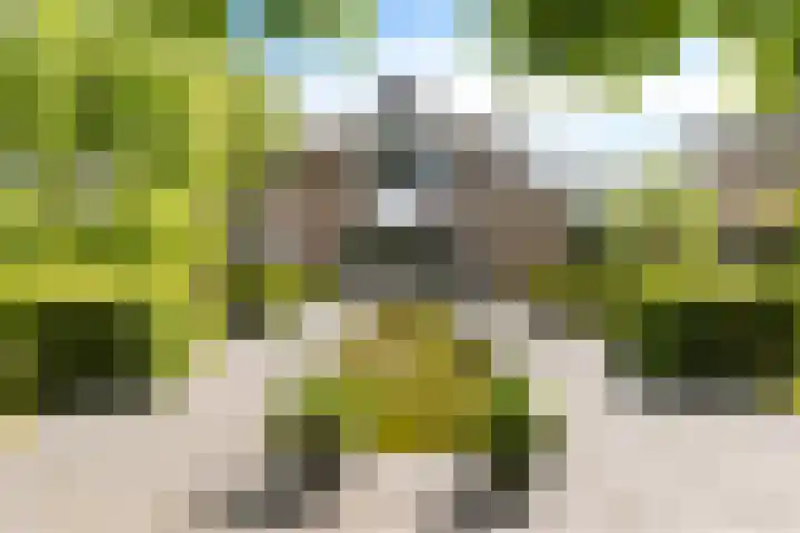 Herfst 61 Dronten thumbnail 35