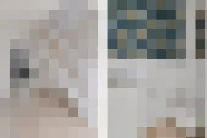 Herfst 61 Dronten thumbnail 7