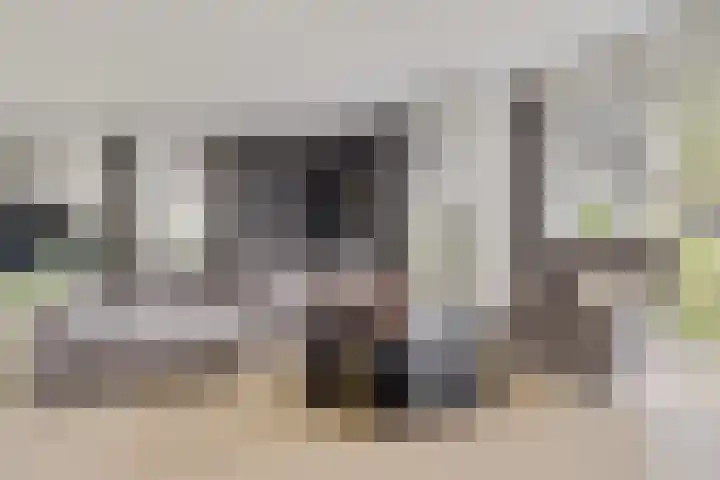 Herfst 61 Dronten thumbnail 9