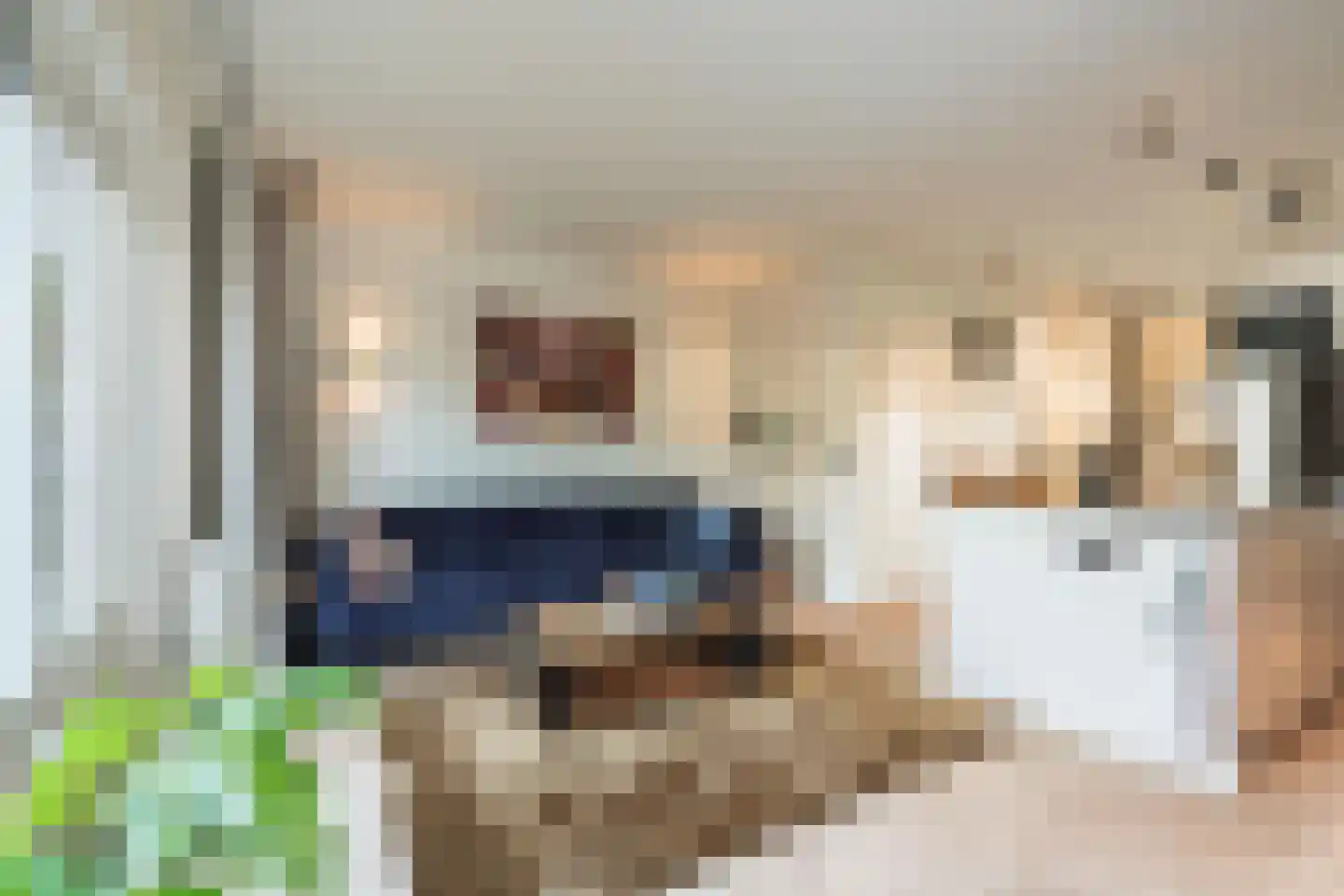 Herfstgaarde 3 Nieuwegein thumbnail 6