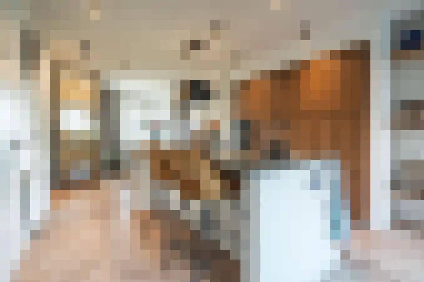 Herfstgaarde 3 Nieuwegein thumbnail 9