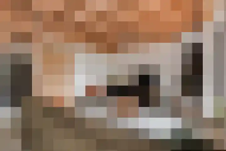 Herfstlaan 23 Alphen aan den Rijn thumbnail 12
