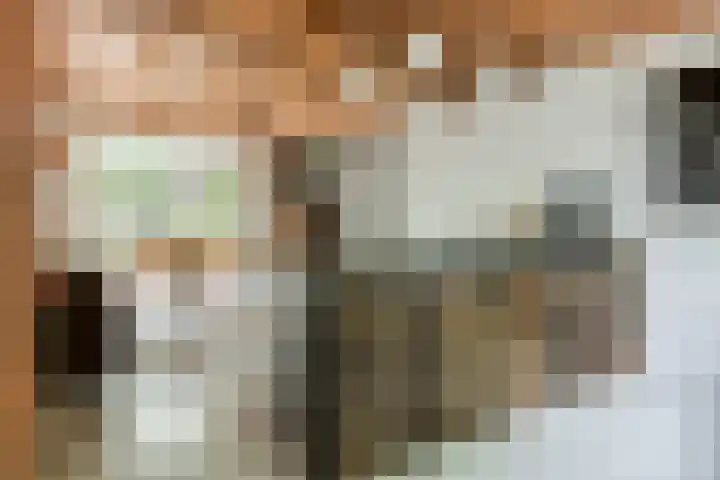 Herfstlaan 23 Alphen aan den Rijn thumbnail 17