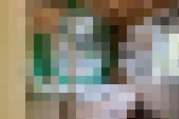 Herfstlaan 23 Alphen aan den Rijn thumbnail 25