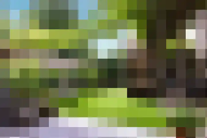 Herfstlaan 23 Alphen aan den Rijn thumbnail 37
