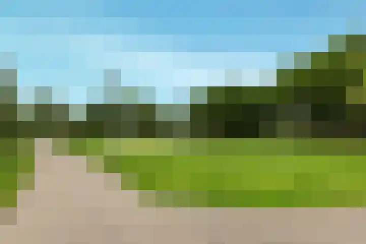 Herfstlaan 23 Alphen aan den Rijn thumbnail 43